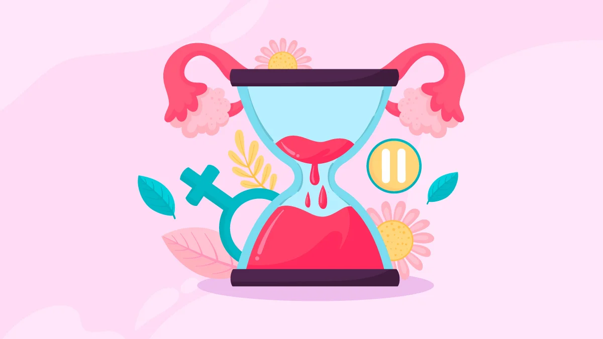 Illustration of Female Reproductive System On Menopause Stage