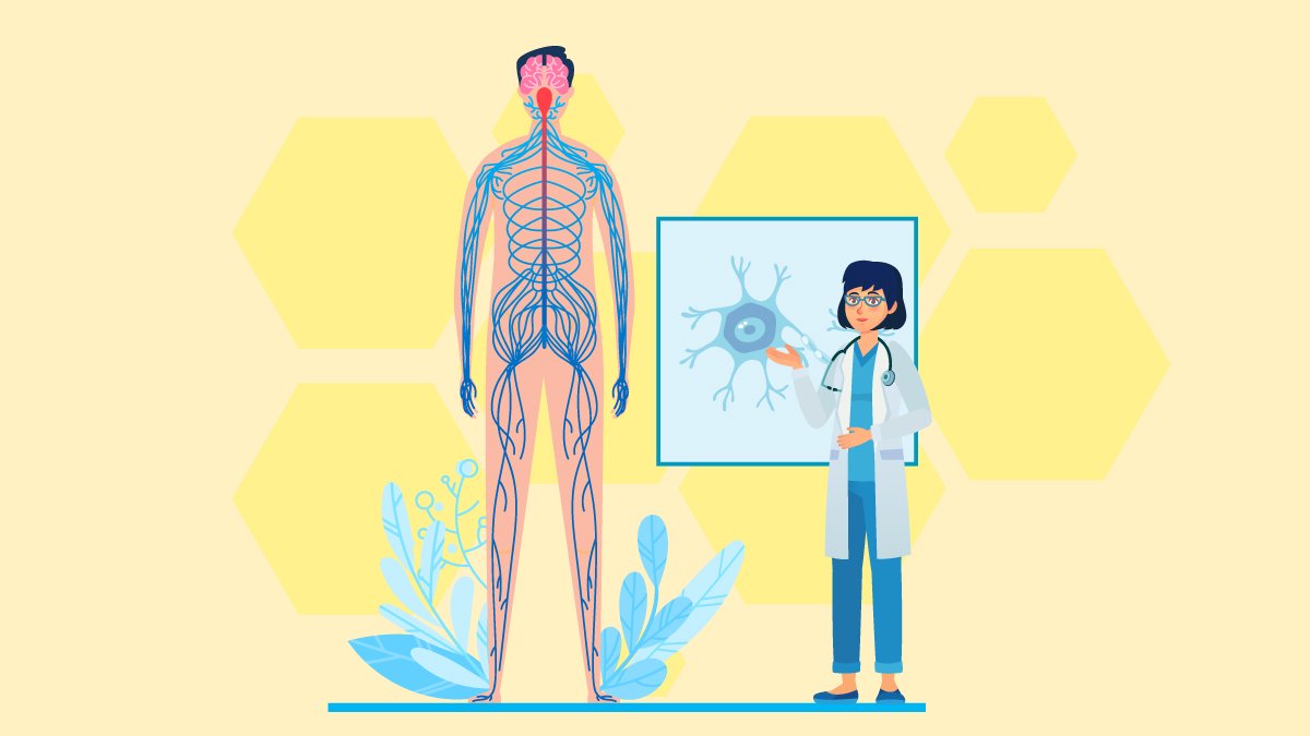 Huge Body Anatomy Standing while Two Doctors Talking About Multiple Sclerosis