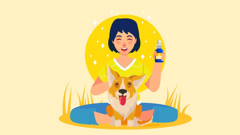 best-cbd-oil-for-dogs-top-10-brands-for-canine-pain-anxiety-2022