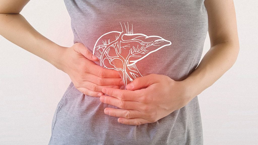 Is Cbd Bad For Your Liver And Kidneys