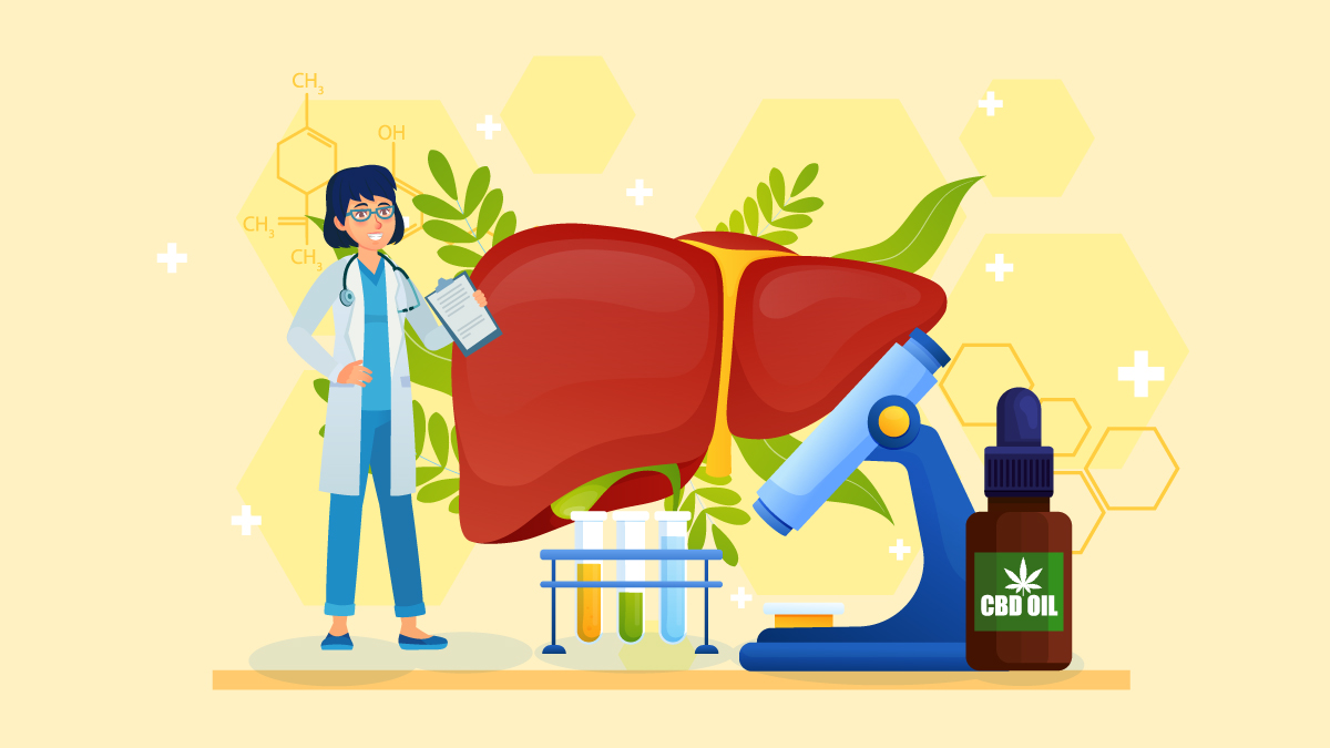 Illustration of CBD Oil with Huge Image of Liver and Doctor Checking on it