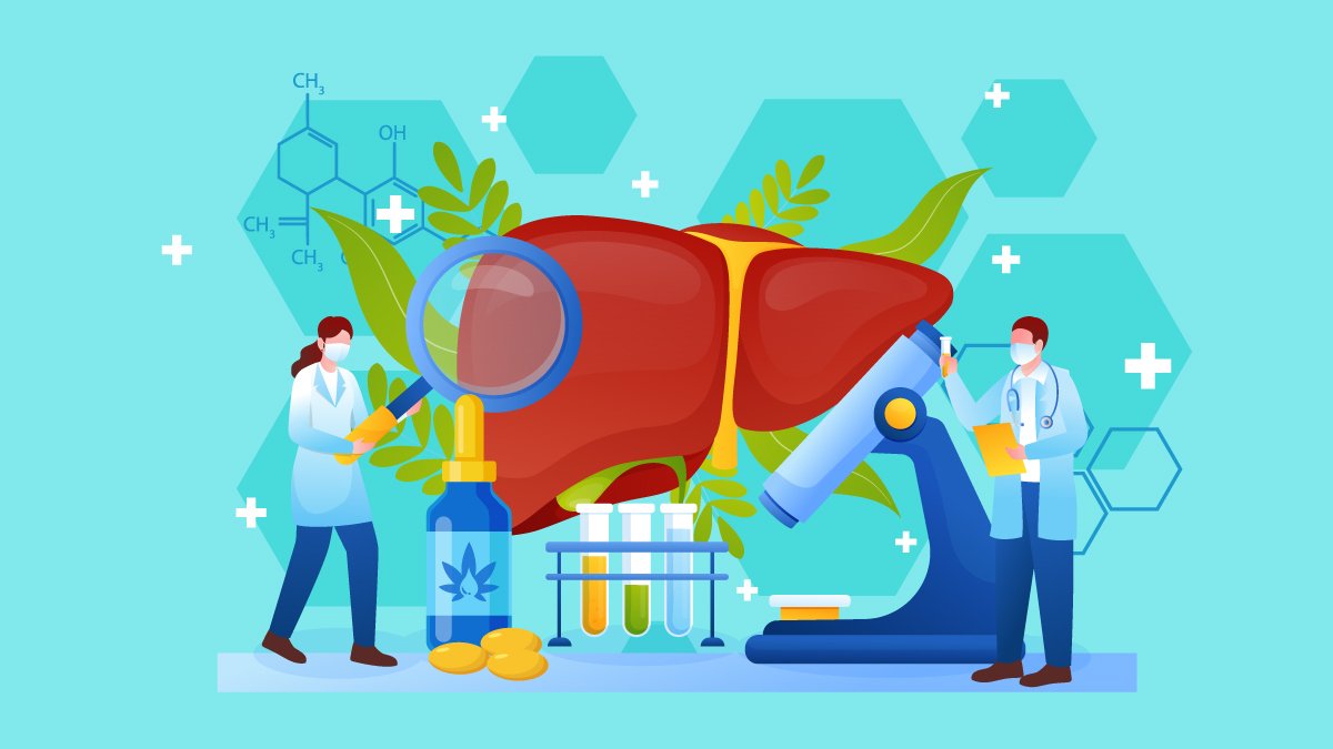 Illustration of CBD Oil with Huge Image of Liver and Two Doctors Checking on it