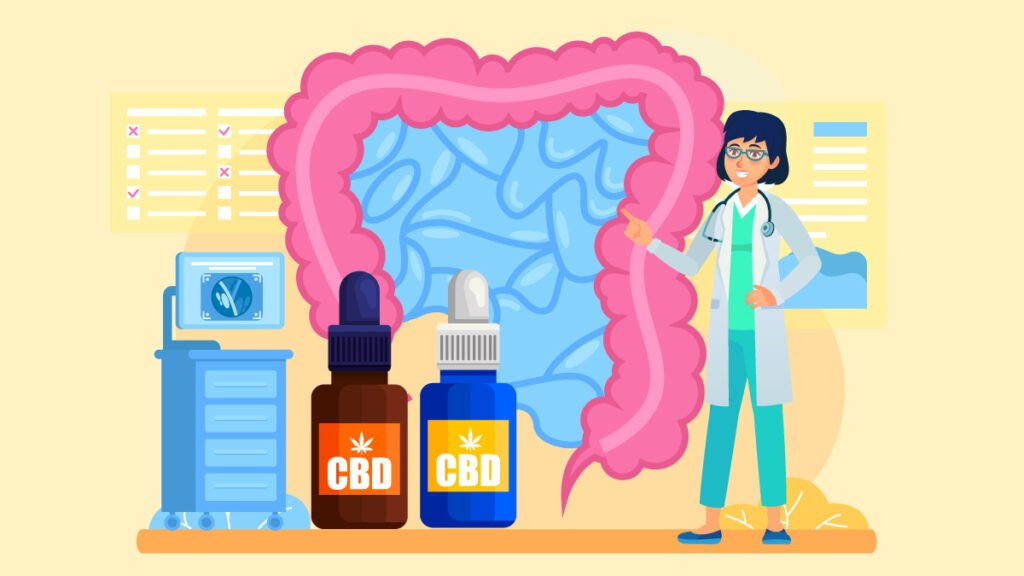 CBD Oil for Ulcerative Colitis Can Cannabis Oil Help & Dosage? CFAH