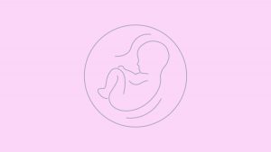 Illustration of Fetus Inside the Womb on Pink background
