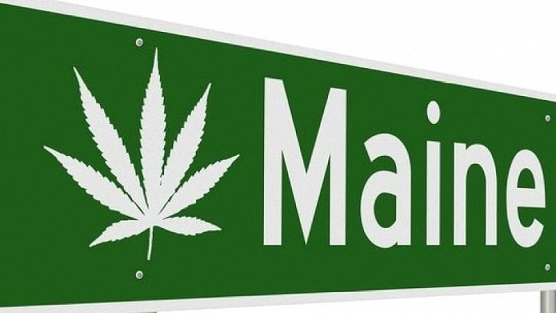 Maine Word with Hemp Logo in a Green Background