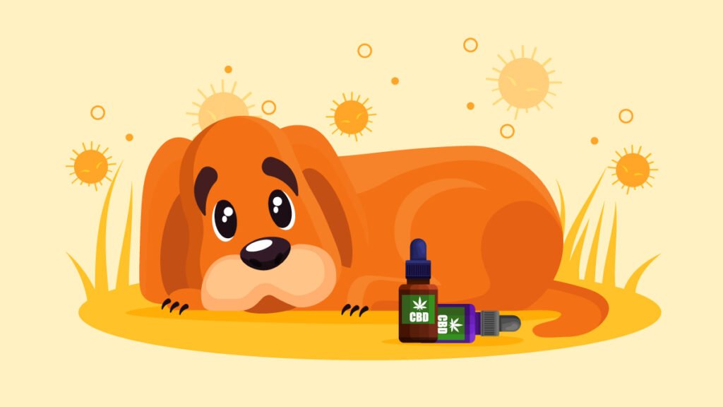 What Can I Give My Dog for Seasonal Allergies? CFAH