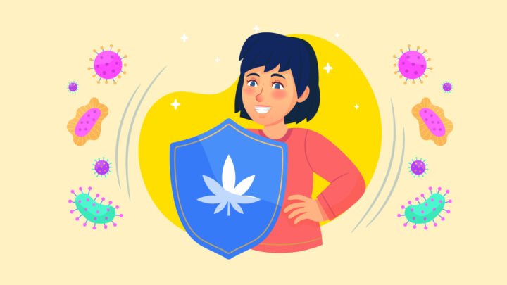 Woman Holding Battle Shield with Hemp Leaf Print Against Viruses