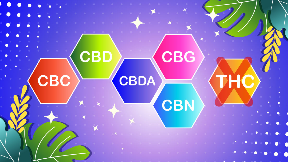 Illustration of hexagons with the cannabinoid types on it.