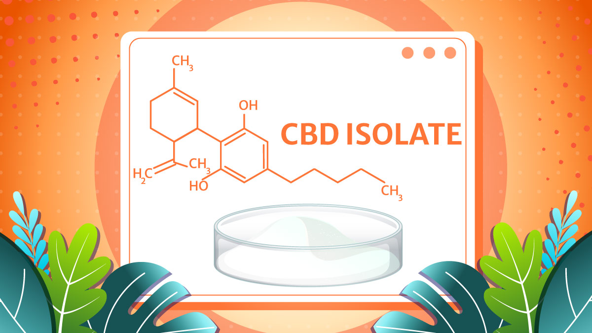 Illustration of CBD Isolate chemical structure.