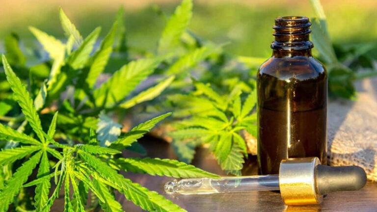 What Are the Side-Effects of CBD Oil? - CFAH