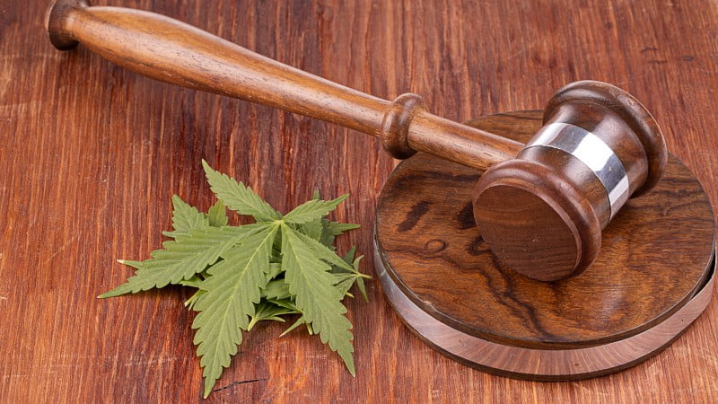 a wooden gavel and cannabis leaves on a wooden table