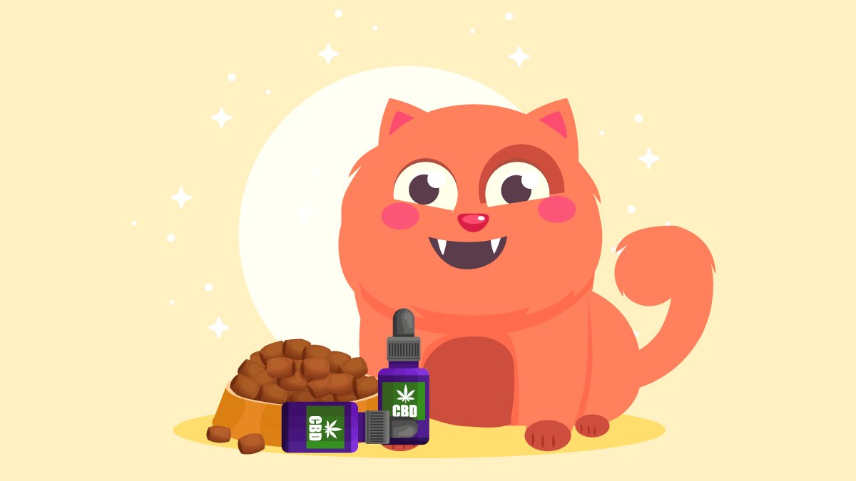 an illustration of a cat with CBD oil and pet food on a bowl