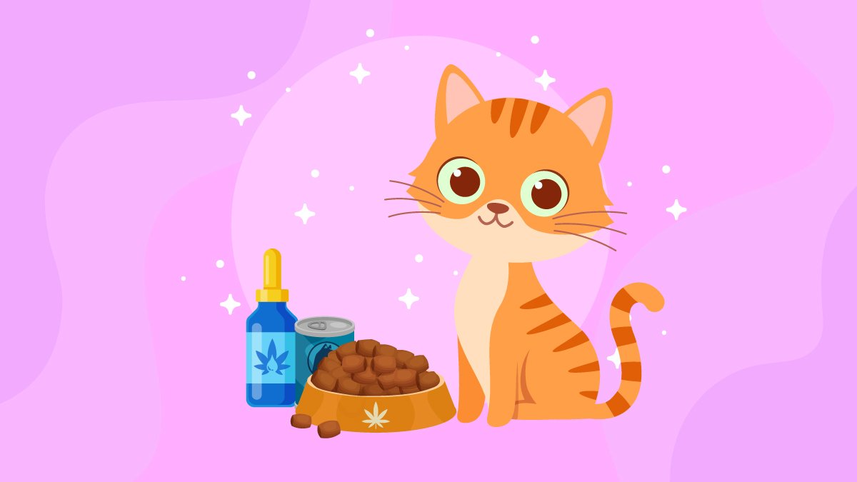 an illustration of a cat with CBD oil and pet food on a bowl