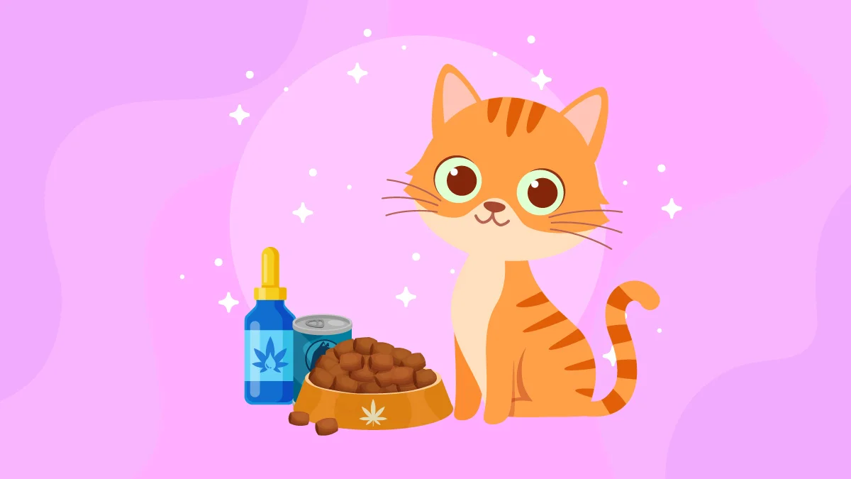 an illustration of a cat with CBD oil and pet food on a bowl