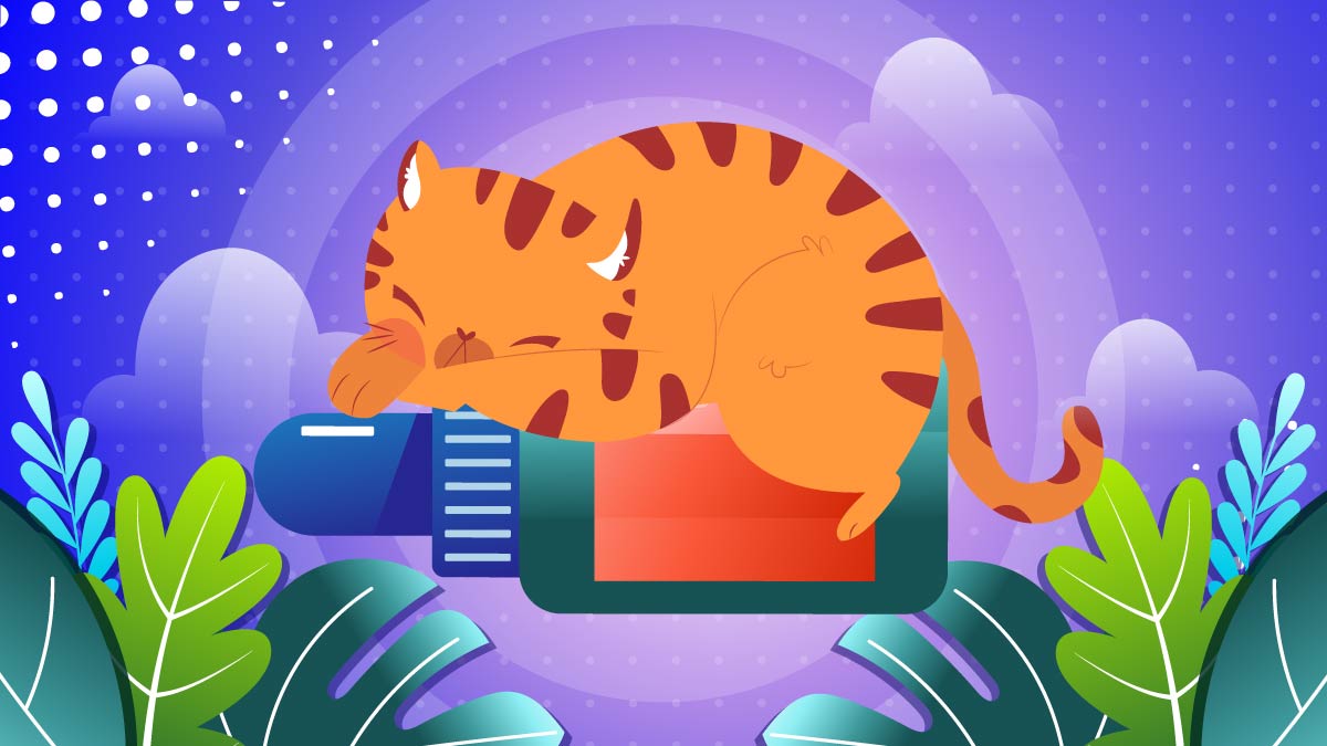 an illustration of a cat sleeping in a CBD oil bottle.