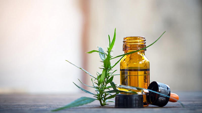 CBD oil extract in a bottle and a dropper with hemp leaves on a table