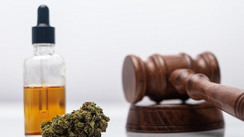 CBD oil extract in bottle, a hemp bud and a gavel