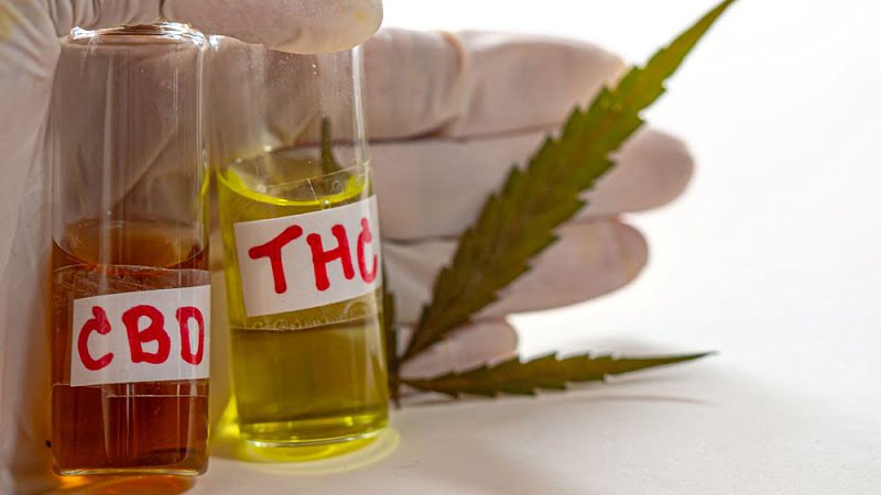 hand with white gloves holding bottles of CBD and THC and a hemp leaf