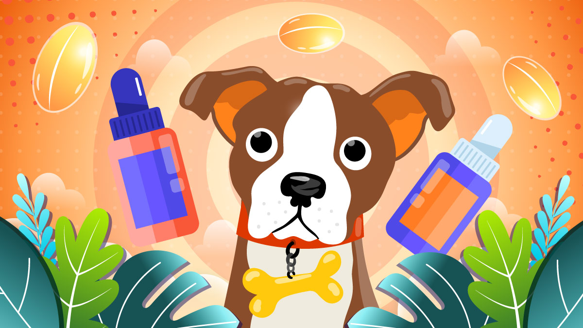 Illustration of a dog with CBD Oil bottles and capsules
