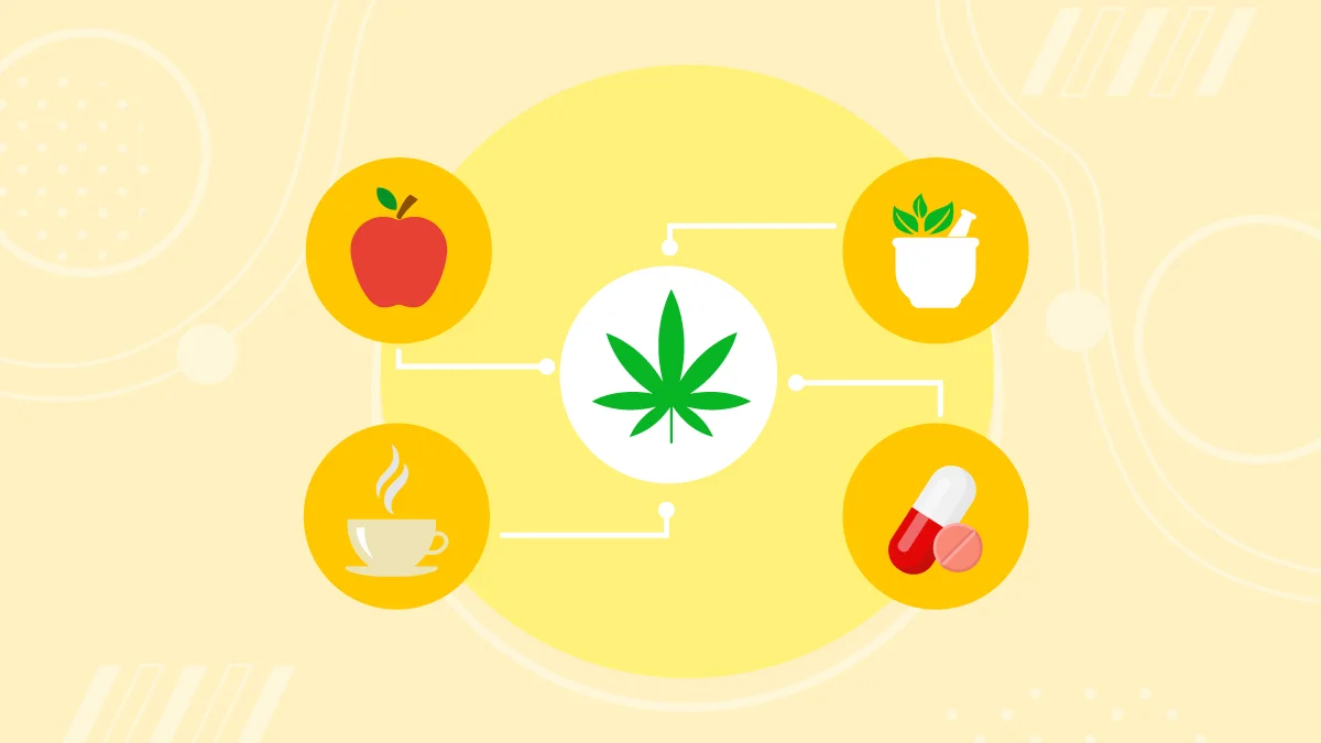 an illustration of Cannabis leaf interactions with other food and medications