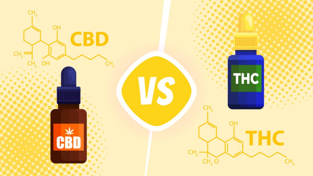 CBD Vs THC: What's The Difference? - CFAH