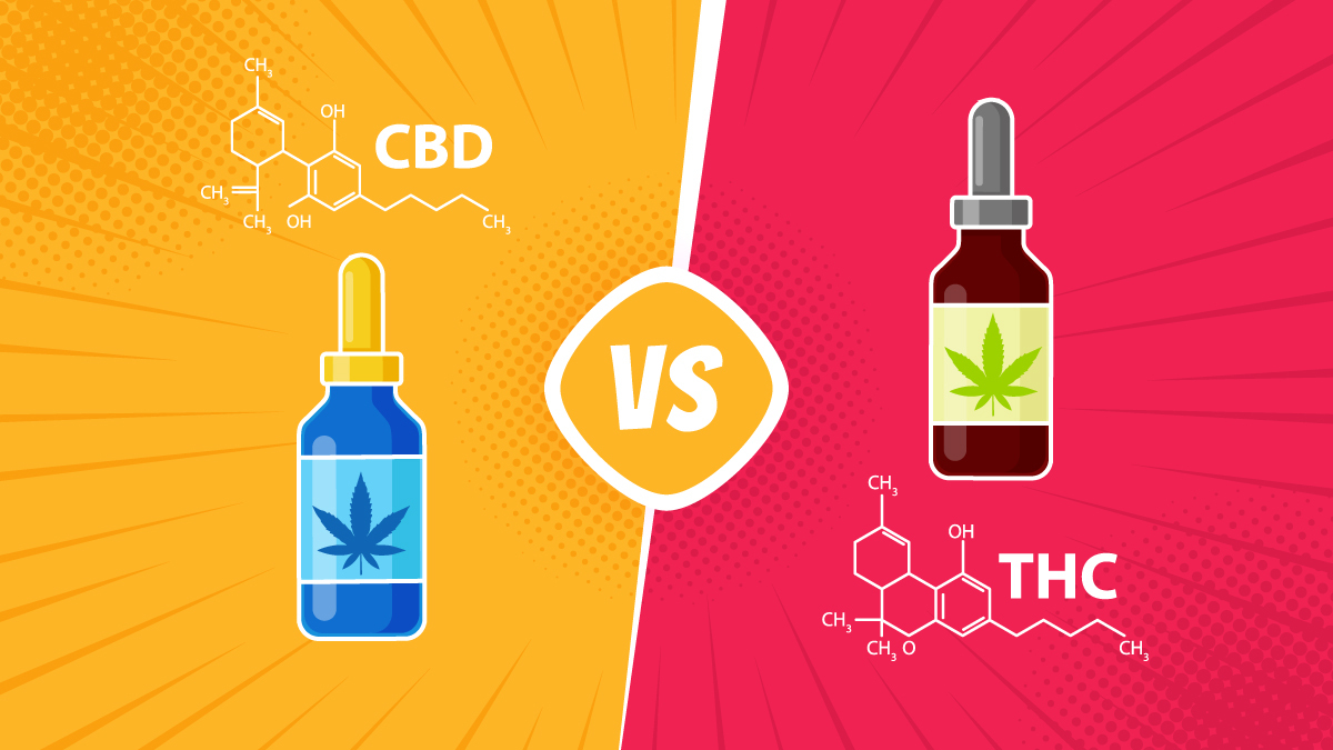 an illustration of CBD versus THC