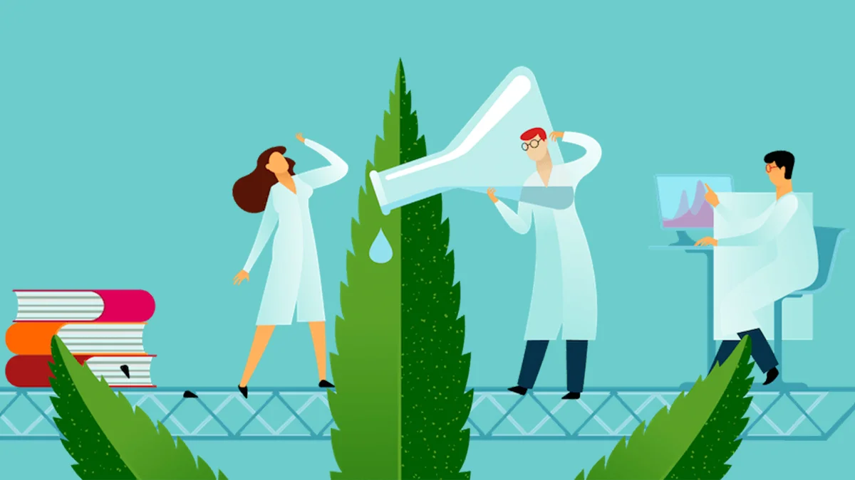 Illustration of scientists and hemp leaf