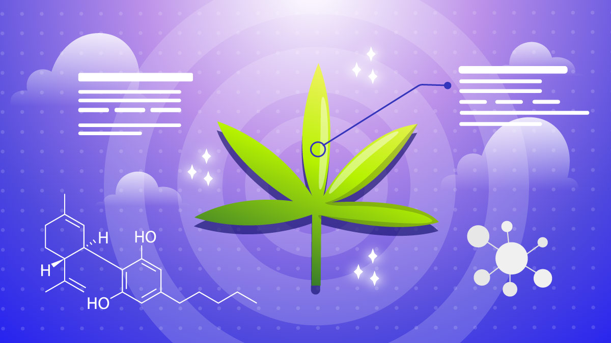 Illustration of cannabis leaf with info and chemical structures next to it.