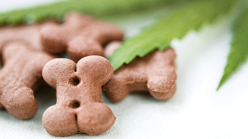 a hemp leaf and CBD dog treats