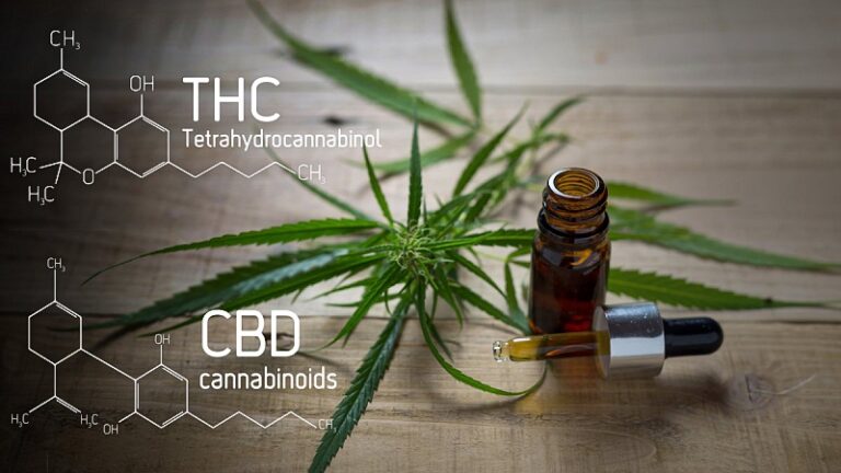 CBD Oil For Lupus: Is It Safe And Effective? - CFAH