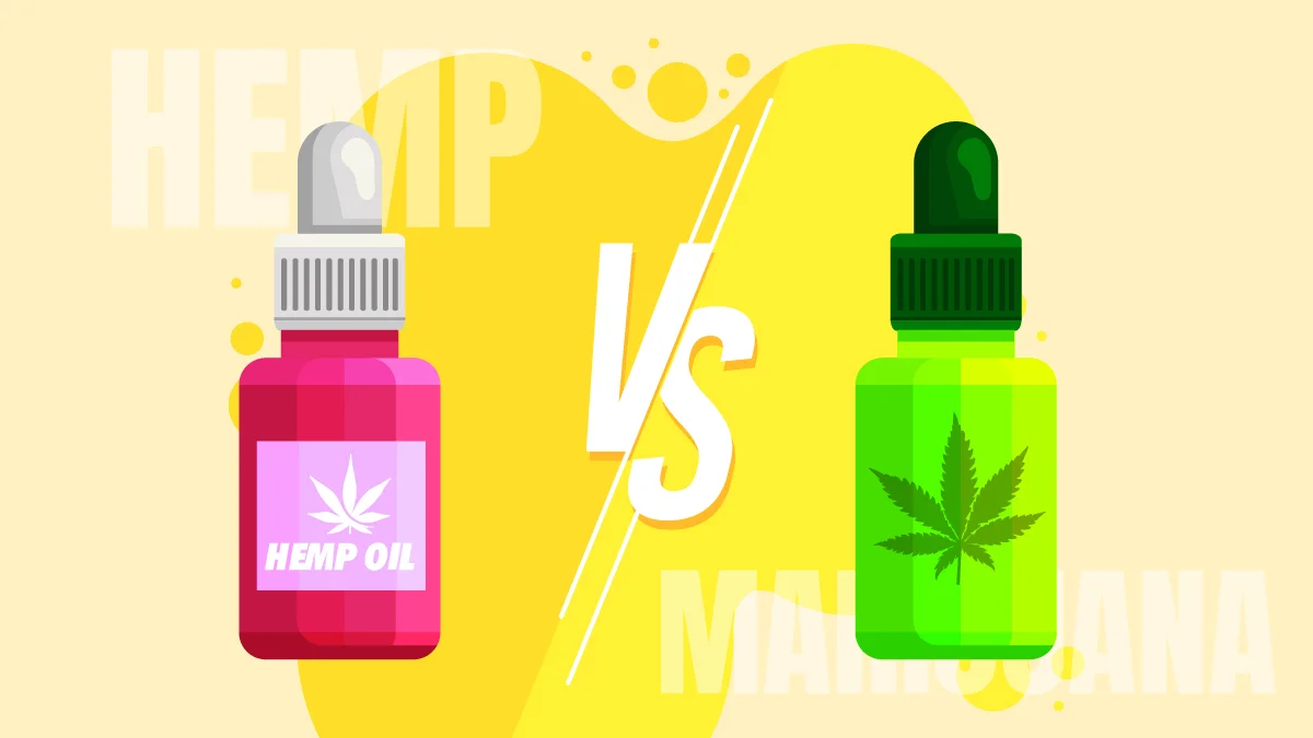 Illustration of CBD Oil Hemp vs Marijuana