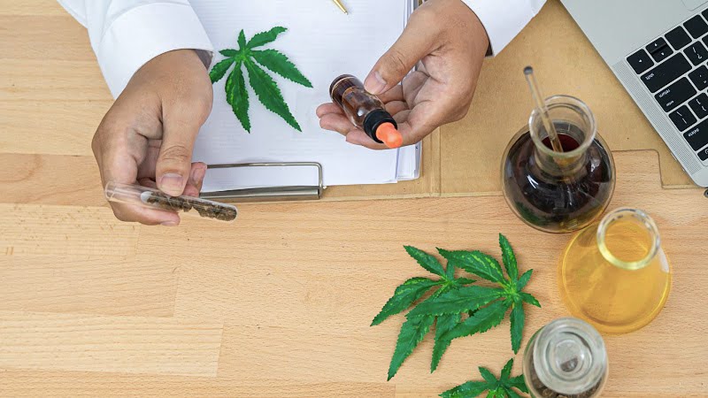 Doctor holding a CBD oil and hemp on a test tube with cannabis leaves on a table
