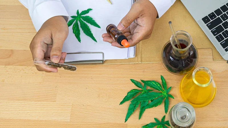 Doctor holding a CBD oil and hemp on a test tube with cannabis leaves on a table