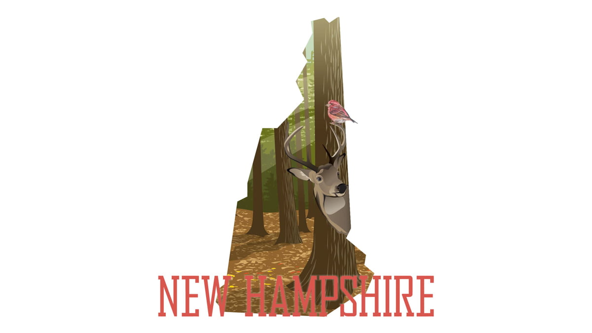 Illustration of New Hampshire state map