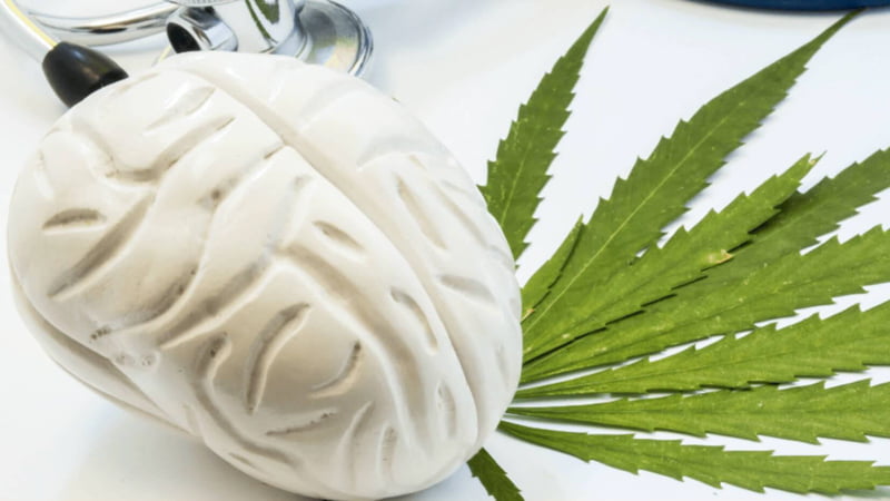 Sculpture of a Brain with Hemp Leaf and Stethoscope