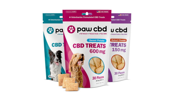 Best CBD Dog Treats: Choosing High-End Products Is Crucial - CFAH