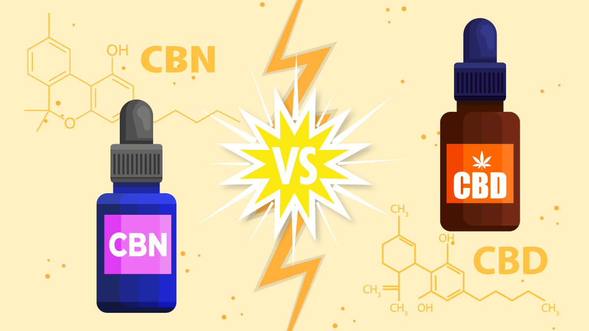 an illustration of CBN versus CBD