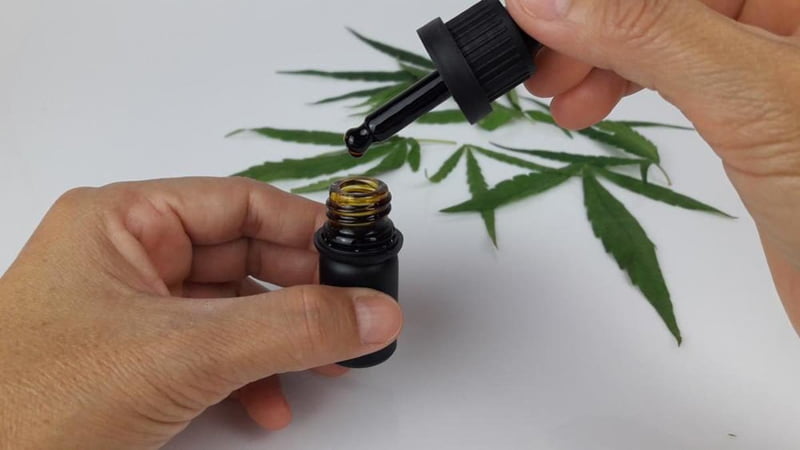 Hands Holding CBD Oil Dosage for Dogs