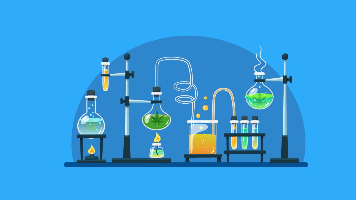 illustration of the process of extracting CBD