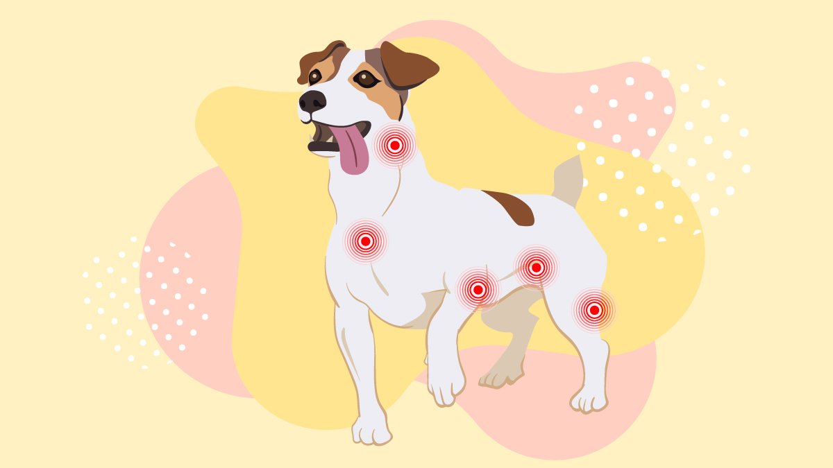Illustration of a Dog with Lymphoma