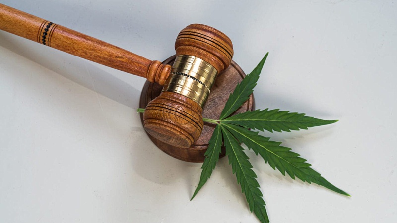 image of a gavel and a hemp leaf on a white background