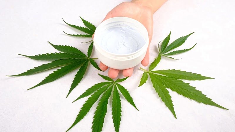 hand holding CBD cream and hemp leaves around on a white background