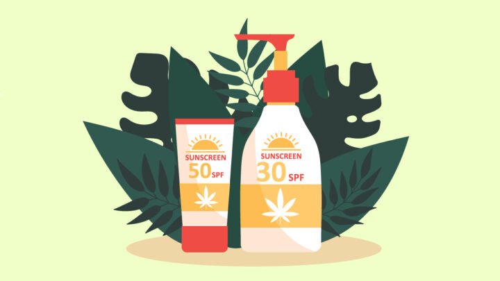 illustration of CBD sunscreen with leaves behind