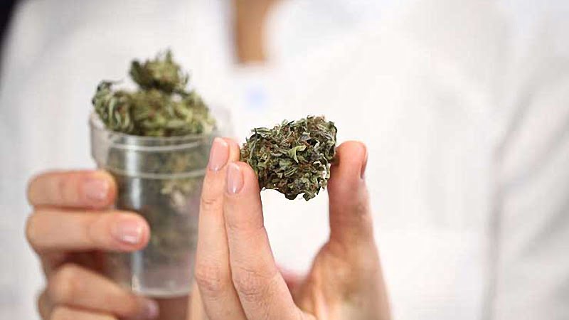 woman holding a container with hemp buds on right hand and a single bud on left hand 