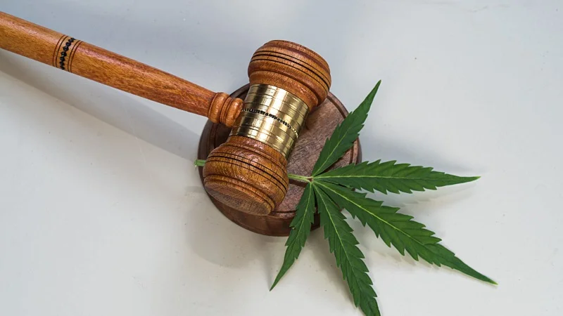 image of a wooden gavel and a hemp leaf on a white background
