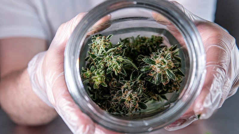 a man holding a jar of hemp buds