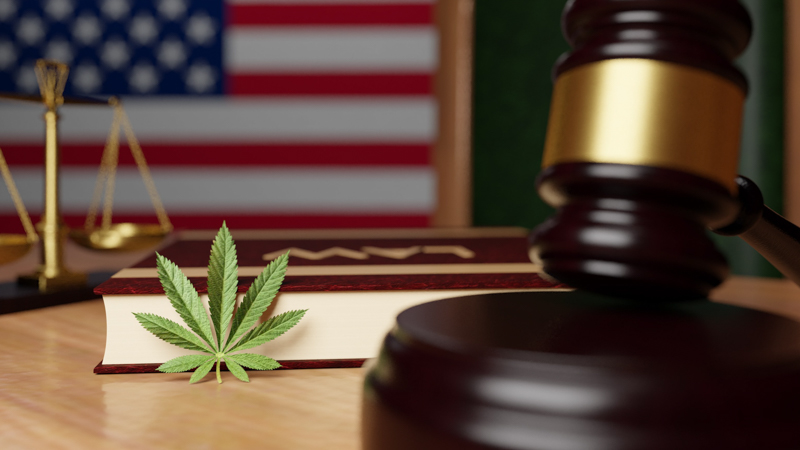 Gavel Justice Scale American Flag and Hemp Leaf 