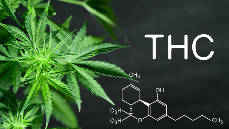 THC Chemical Structure with Hemp Leaves