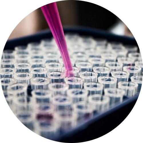 How to Deal with Depression & Anxiety List of Top 10 Best Natural