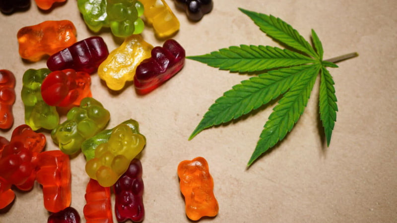 CBD Gummies and Hemp Leaf